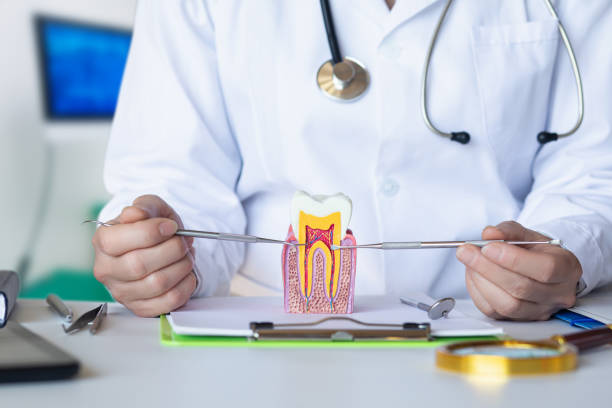 Best Pediatric Emergency Dentist in Mocksville, NC
